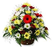 Envio y venta de flores ,rosas, plantas,arreglos florales ,regalos y desayunos a domicilio con delivery gratis en la Ciudad Autonoma de Buenos Aires y con costo de env�o en localidades del Gran Buenos Aires asi como delivery de flores y plantas a trav�s de florerias asociadas en todas las provincias de la Argentina, Buenos Aires, la Pampa, Tucuman, La Rioja, R�o Negro, Entre Rios, Corrientes, Misiones, Neuquen, Chubut, Tierra del Fuego, Santa Cruz, San Luis, Mendoza, Cordoba, Jujuy, Formosa, Santiago del Estero, Salta, Chaco, Catamarca ,San Juan, y ademas realizamos el delivery de flores ,coronas,palmas , plantas y regalos a todas las ciudades de Argentina, Mar del Plata, C�rdoba, Buenos Aires, con cargo en Santa Rosa, La Plata, Bella Vista, Neuquen, Pilar, Paran�, Posadas, Resistencia, Cipolleti y mas de 300 ciudades y localidades en todo el territorio de nuestro pa�s, asi como tambien tenemos la posibilidad de enviar flores a casi todo el mundo en cuestion de horas